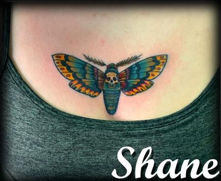 Shane Standifer - Deths-head hawkmoth 